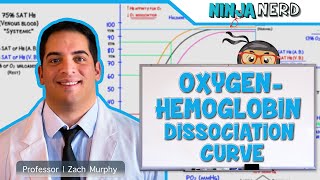 Respiratory  OxygenHemoglobin Dissociation Curve [upl. by Kcinomod375]