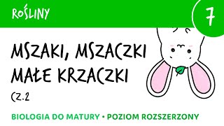 Różnorodność roślin  Mszaki cz2 Mchy mszaki znaczenie mchów  biologia liceum matura [upl. by Kissel]