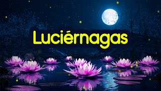 Canción de Cuna para Dormir y Relajar Bebés 🌙 Música para Dormir Bebés Profundamente 🌙 Luciérnagas [upl. by Ettelra192]