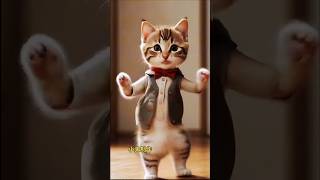 Cat dance ❤️  Cute kitten cat lovecats catscatvideos kittenscatlover princesscatkitten 22 [upl. by Ydurt]