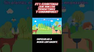 PARTE 1  Ecosistemas ¿Qué son los Productores y Consumidores 🌱🦁 ecosistema [upl. by Giesser]