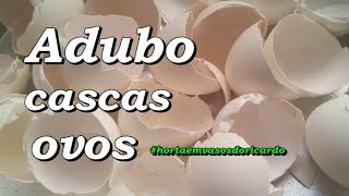 Como fazer adubo com cascas de ovos adube seu vaso ou jardim [upl. by Obie]