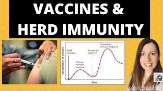 Alevel Biology VACCINATIONS Passive and Active Immunity The importance of HERD IMMUNITY [upl. by Inahs]