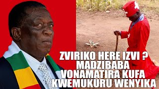 ZVIRIKO HERE IZVI  MADZIBABA VONAMATIRA KUFA KWEMUKURU WENYIKA [upl. by Nitsyrk]