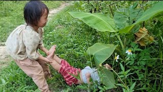 landslide tree fell near the house sister picked fruit to sell bodonthan123 [upl. by Abie458]