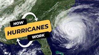 Discovering hurricanes The science behind natures epic storms explained   CBC Kids News [upl. by Ita916]