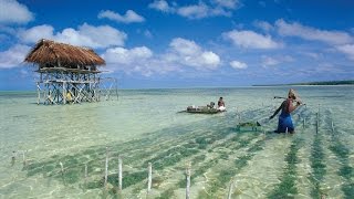 Kiribati Island Travel 2015 [upl. by Airehs]