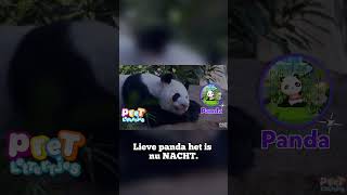 Welterusten Panda  Peuters Leren Praten shortswithcamilla [upl. by Repooc]