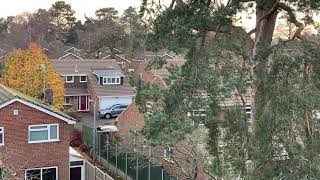 Roof Cleaning in Leighton Buzzard Bedfordshire UK  Great Outdoors Exterior Cleaning [upl. by Chloras]