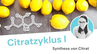 Citratzyklus  Schritt 1 von 6 Synthese von Citrat [upl. by Tada]