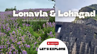 Karvi Flower Festival and Lohagad fort Trek  Travel and explore pune travelvlog [upl. by Doowyah]