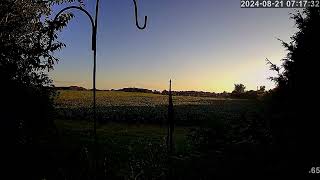 2 weather cams Weather Forecast for Georgetown on 20240821 [upl. by Deming128]