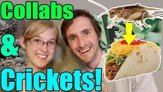 COLLAB With Clints Reptiles We Eat Cricket Tacos [upl. by Jobyna]