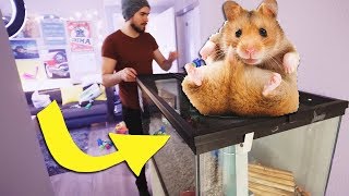 GERMÁN COMPRÓ UNA MANSION PARA SU HAMSTER [upl. by Beesley]