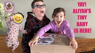 SUPER EXCITING REBORN BABY BOX OPENING  ALIYAHS TINY BABY HAS ARRIVED [upl. by Warner33]