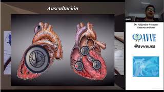 Examen Clinico y Valvulopatias cardiacas en pequeños animales Dr Alejandro Meneses [upl. by Sorips]