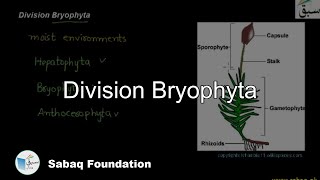 Division Bryophyta Biology Lecture  Sabaqpk [upl. by Harvison]