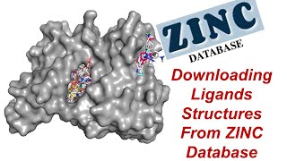 AutoDock  How to Download Drugs Structure from ZINC Database 4 Virtual Screening of Drugs Part1 [upl. by Revilo454]