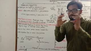 Part 1  Admixture in concrete  Plasticizer  Super plasticizer  Admixture lecture [upl. by Aleka344]