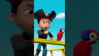 PAW Patrol  PAW Patrol zingt het Piratenpupslied Shorts [upl. by Annahaj]