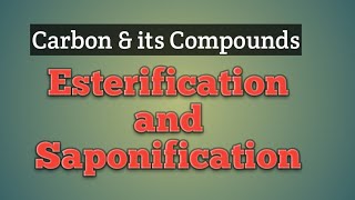 Chemical Reactions Part 4  Esterification  Saponification [upl. by Winnah452]