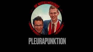 Durchführen einer Pleurapunktion [upl. by Pepillo328]