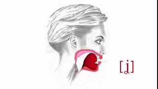 PRONUNCIACIÓN DE LA Y FRICATIVA PALATAL SONORA ʝ EN ESPAÑOL ej Yemen [upl. by Oralie]