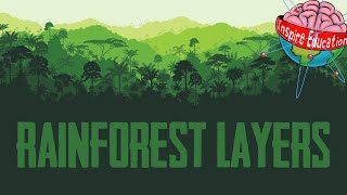 The 4 Layers of the Rainforest [upl. by Decker833]