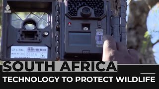 South Africa incorporates technology to protect wildlife [upl. by Enoed774]