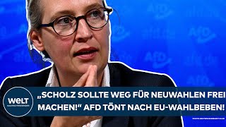 ALICE WEIDEL quotScholz sollte den Weg für Neuwahlen frei machenquot AfD tönt nach EurowahlBeben [upl. by Richara]