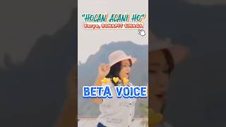 Holan Alani Ho Karya Bonapit Sinaga by Beta voice [upl. by Alyad617]