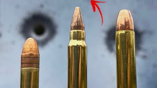 22LR vs 17 HMR vs 22 MAG Never Would’ve Guessed [upl. by Call368]