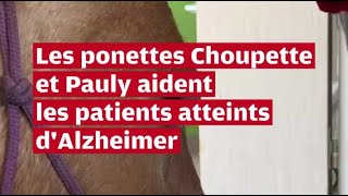 VIDÉO À Châtellerault deux ponettes égayent le quotidien des patients atteints dAlzheimer [upl. by Semadar620]