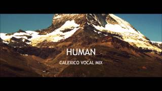 Goldfrapp Human Calexico Vocal Mix [upl. by Bernarr]