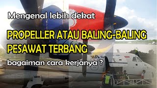 Bagaimana balingbaling pesawat bekerja dan apa kelebihan pesawat balingbaling [upl. by Tarsuss]