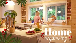 Clever Home Organization Ideas  Best Home Organizers [upl. by Kempe]