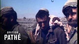 Israelis On Syrian Front 1973 [upl. by Dominus]