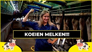 KOEIEN MELKEN met de Boer  Harde Werkers [upl. by Smitty]