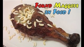 SICKENING  FOUND MAGGOTS IN DAILY FOOD [upl. by Xella982]