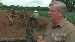 Homestead Heritage Village Texas Country Reporter [upl. by Beniamino]