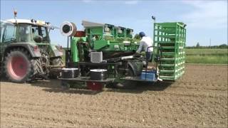 Agriplanter automatic transplanter  3SP  tomatoes [upl. by Zedekiah]