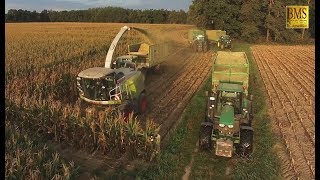 Maisernte 2018  Maisprofis häckseln u silieren Energiemais für Biogas plant biggest corn harvest [upl. by Aymik409]