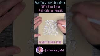 Architectural Illustration  Acanthus Leaf Sculpture with Fine Liner and Colored Pencils [upl. by Grey]