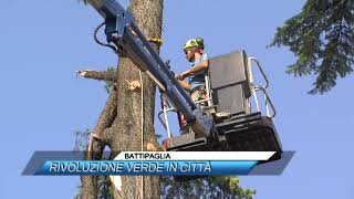 ✅ BATTIPAGLIA RIVOLUZIONE VERDE IN CITTA SUD TV 114 [upl. by Marcie]