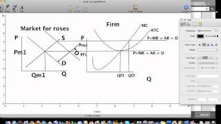 Increasing Cost Industry versus Costant Cost Industy [upl. by Hayikat]