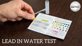 “economical” LEAD TEST how it works tonylab testing swabs… [upl. by Calvina364]