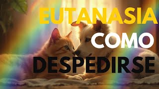 Cómo PREPARAR a TU MASCOTA para la EUTANASIA [upl. by Hartzke]