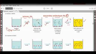 ELISAEnzyme Linked Immunosorbent Assay [upl. by Ailegave]