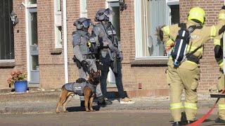 Arrestatieteam lost schoten bij aanhouding  Lobith 21 08 2023 [upl. by Tnattirb]