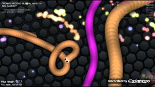 لعبه الدوده ♥ رابط التحميل العبه slitherio [upl. by Ayetal]